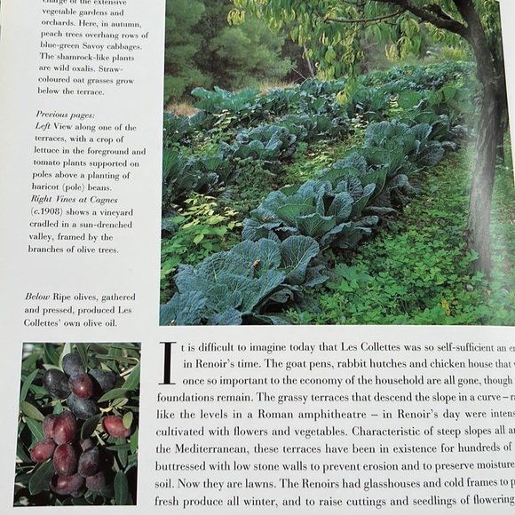 Renoir’s Garden Celebration of the Garden that inspired worlds greatest painter - Picture 12 of 16